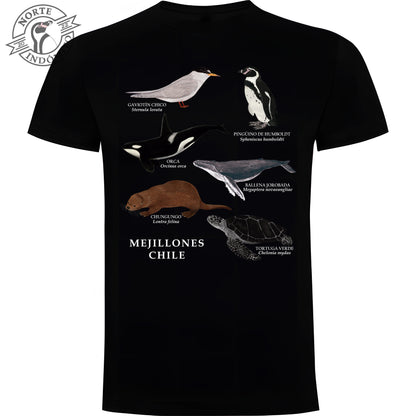 Polera - fauna marina Mejillones