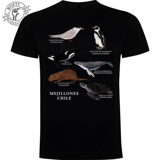 Polera - fauna marina Mejillones
