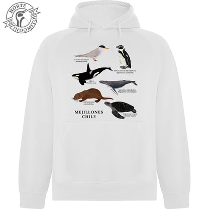 Polerón - fauna marina Mejillones