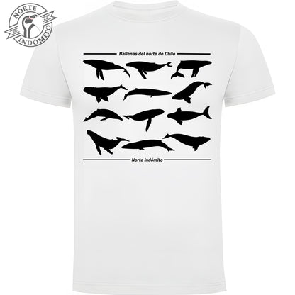 Polera - ballenas silueta