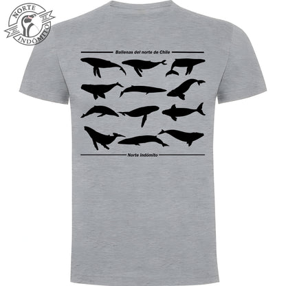 Polera - ballenas silueta