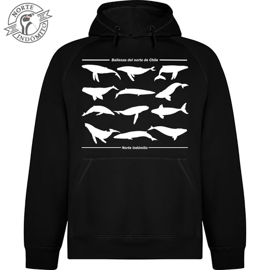 Polerón - ballenas silueta