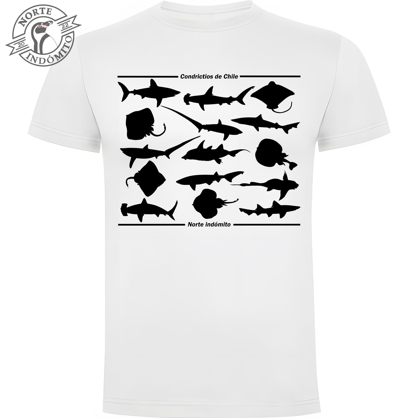 Polera - condrictios silueta