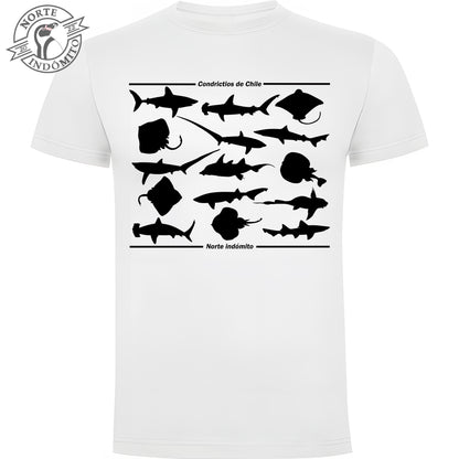 Polera - condrictios silueta