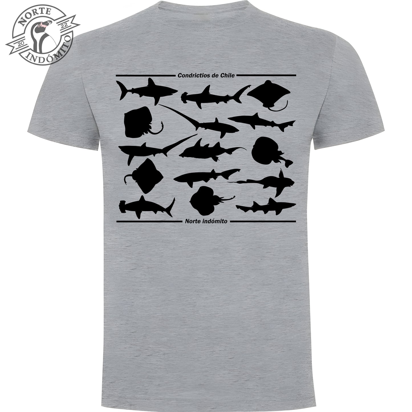 Polera - condrictios silueta