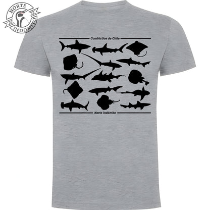 Polera - condrictios silueta