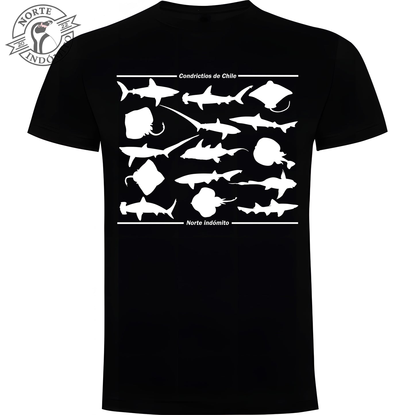 Polera - condrictios silueta