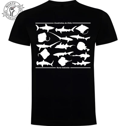 Polera - condrictios silueta