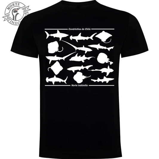 Polera - condrictios silueta