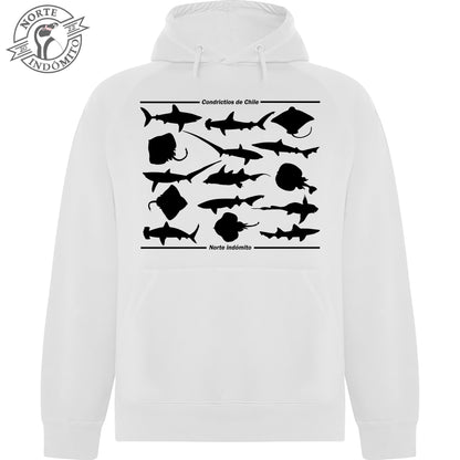 Polerón - condrictios silueta