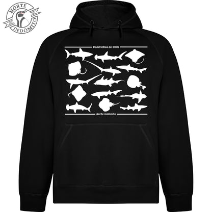 Polerón - condrictios silueta