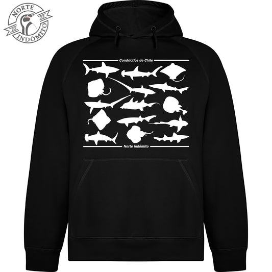 Polerón - condrictios silueta