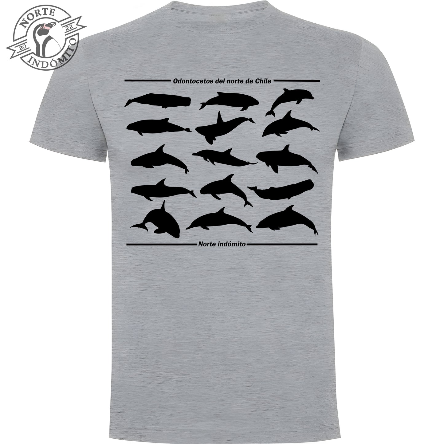Polera - odontocetos silueta