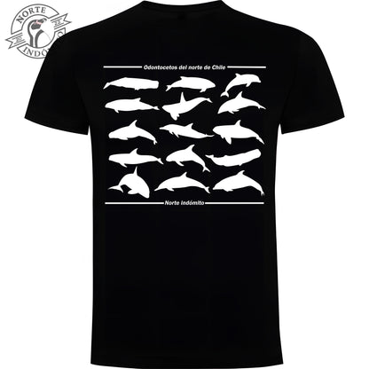 Polera - odontocetos silueta