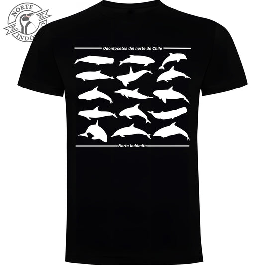 Polera - odontocetos silueta