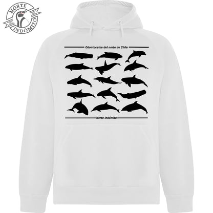 Polerón - odontocetos silueta