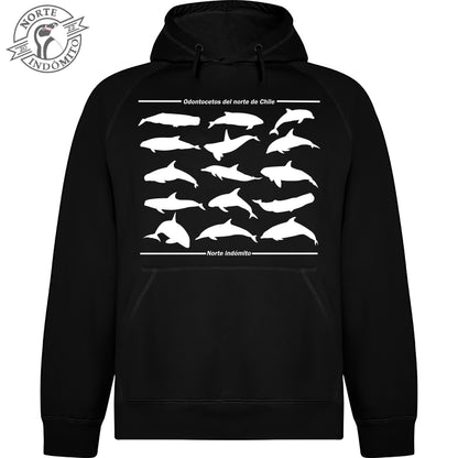 Polerón - odontocetos silueta