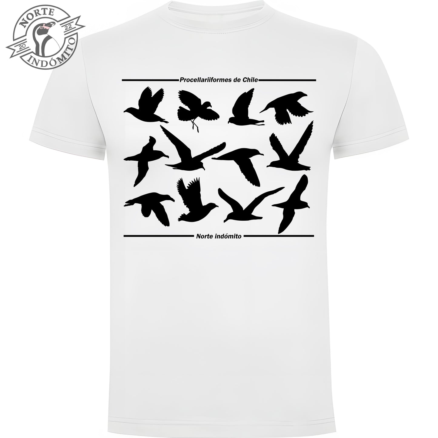 Polera - procellariiformes silueta