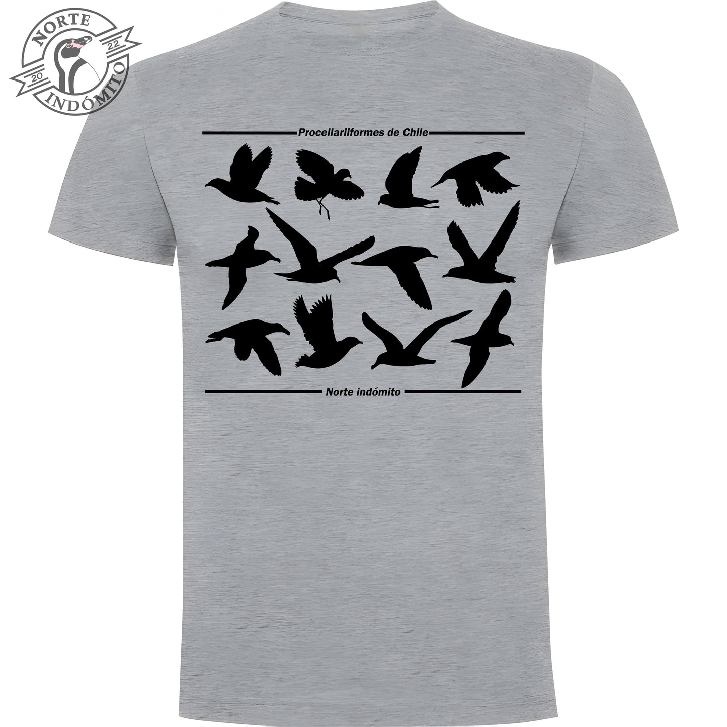 Polera - procellariiformes silueta