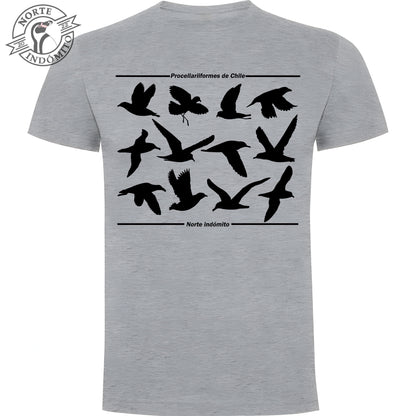 Polera - procellariiformes silueta