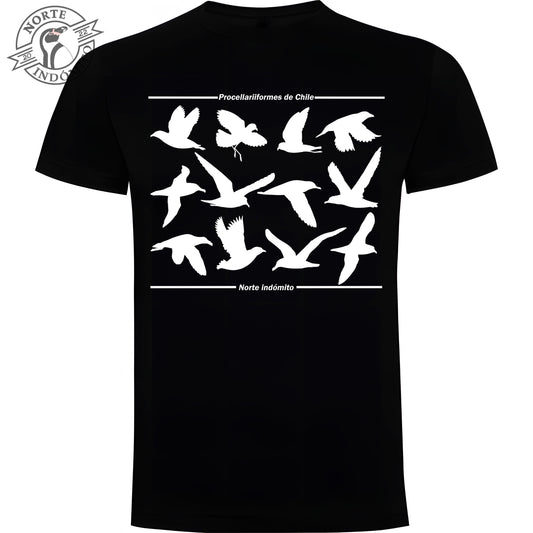 Polera - procellariiformes silueta