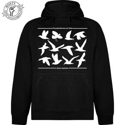 Polerón - procellariiformes silueta