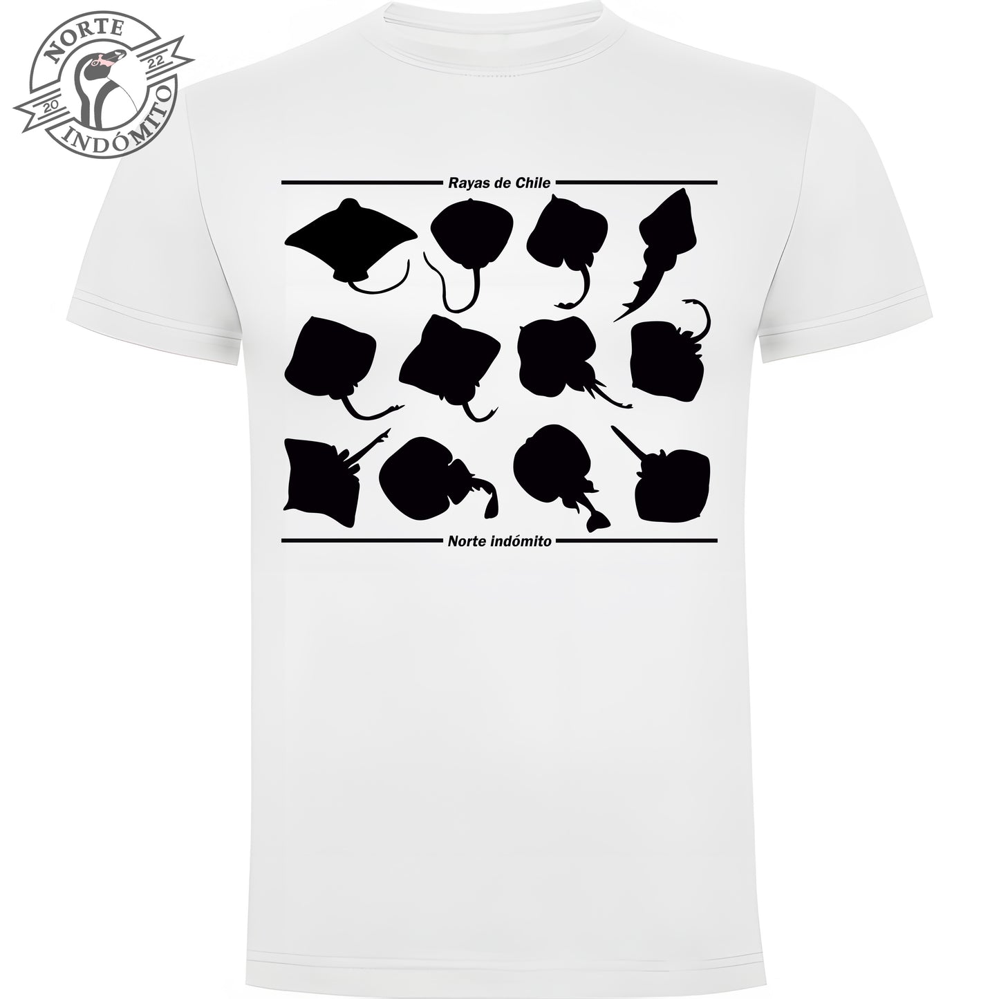 Polera - rayas silueta