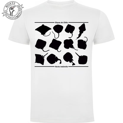 Polera - rayas silueta