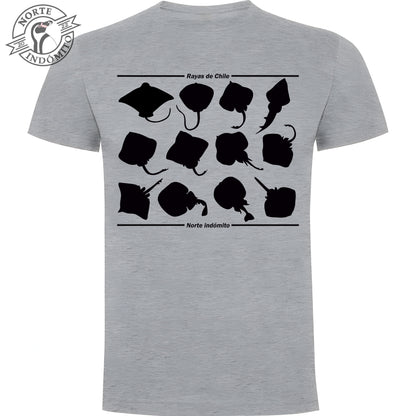 Polera - rayas silueta