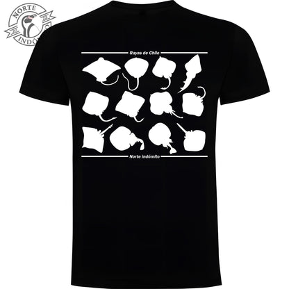 Polera - rayas silueta