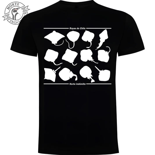 Polera - rayas silueta