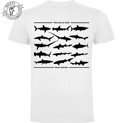 Polera - tiburones silueta