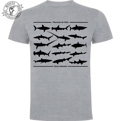 Polera - tiburones silueta