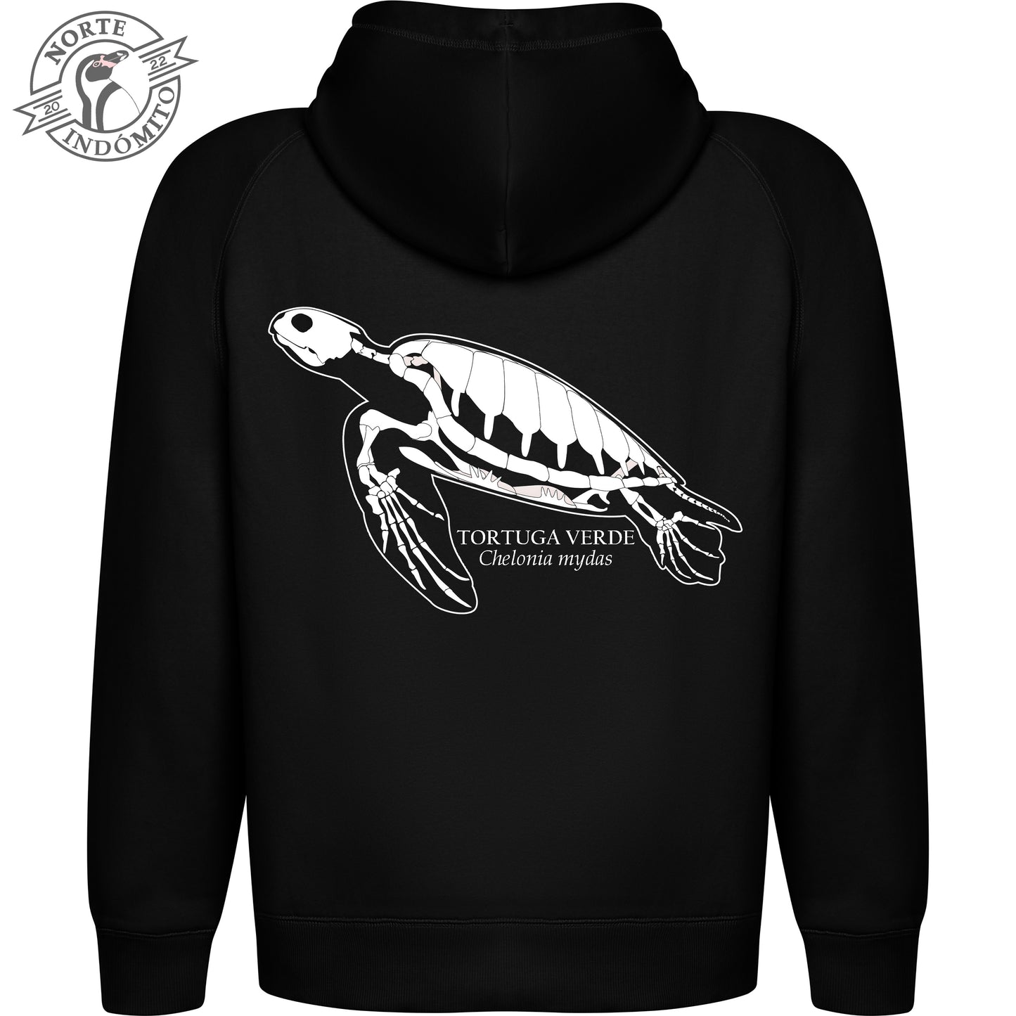 Polerón - tortuga verde esqueleto